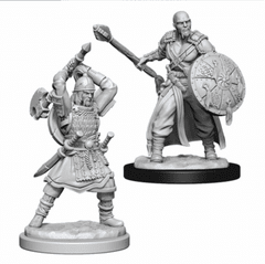 D&D Nolzur's Marvelous Miniatures: Human Barbarian Male (Wave 13)